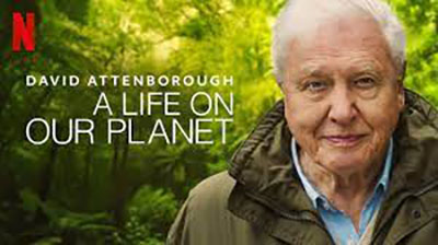 A Life on Our Planet show artwork