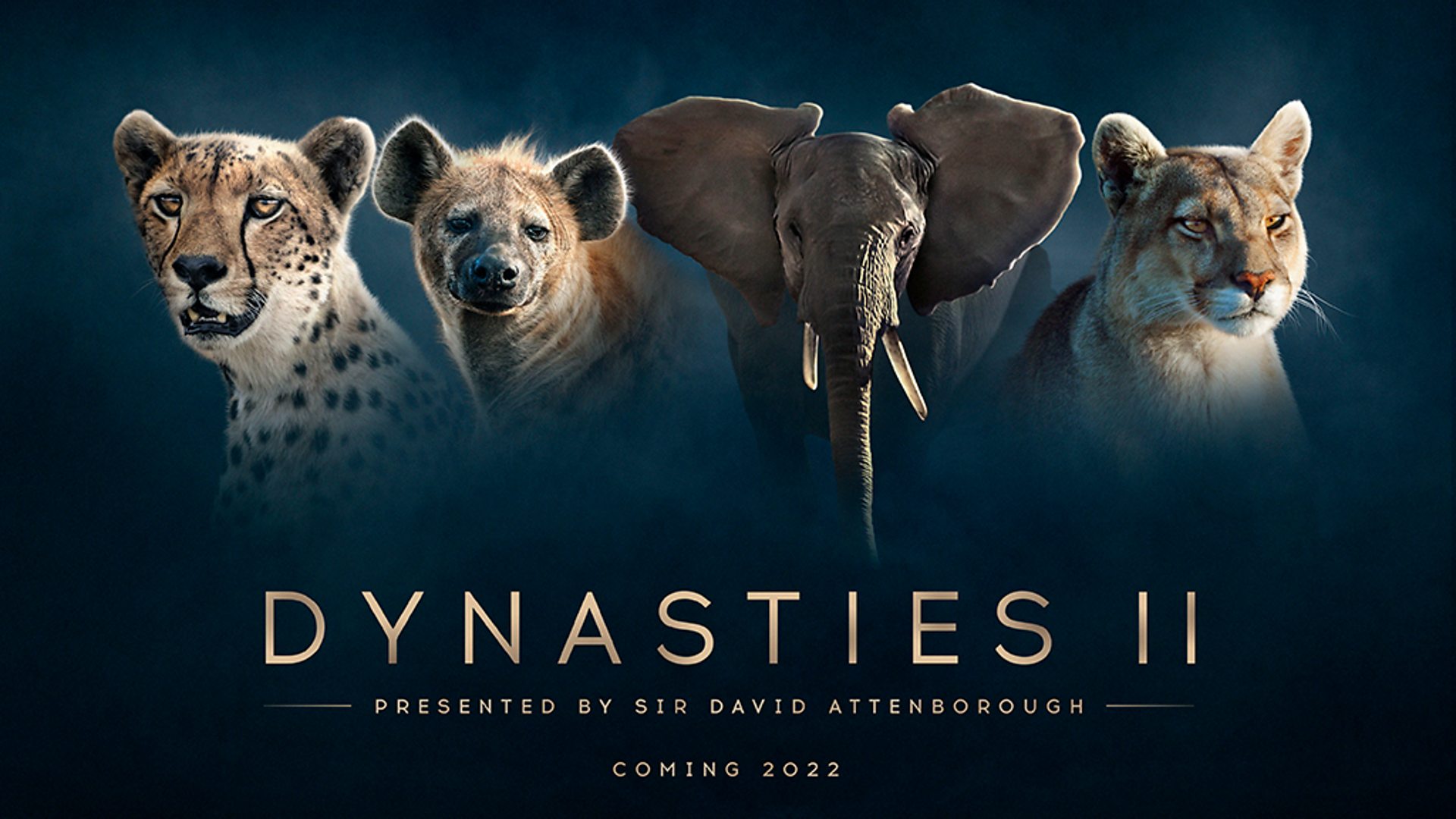 Dynasties II show artwork