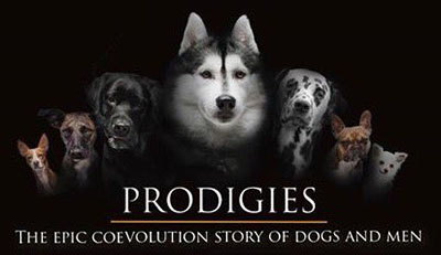 Prodigies — show artwork