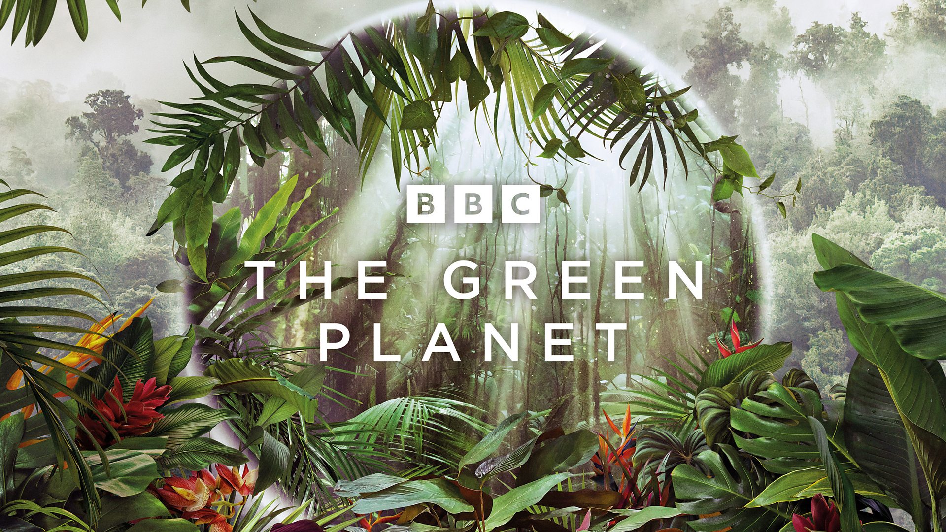 The Green Planet — show artwork